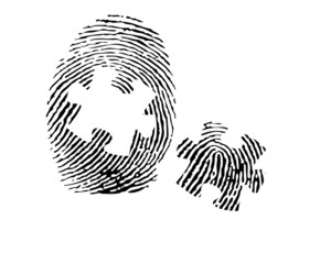 Fingerprint with a puzzle vector