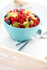 bowl of fruits with cereals