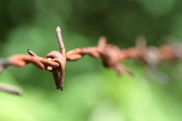 Barbed Wire