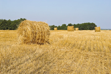 field with bales of straw