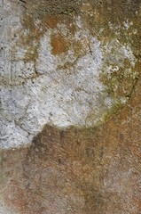 Wall texture