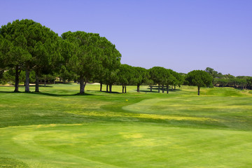 Beautiful golf course against a clear blue sky