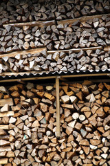Holzvorrat