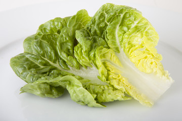 Romaine Lettuce on White Plate