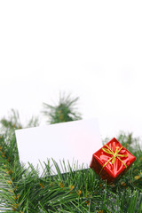 Card in christmas tree