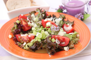 Frischer Salat
