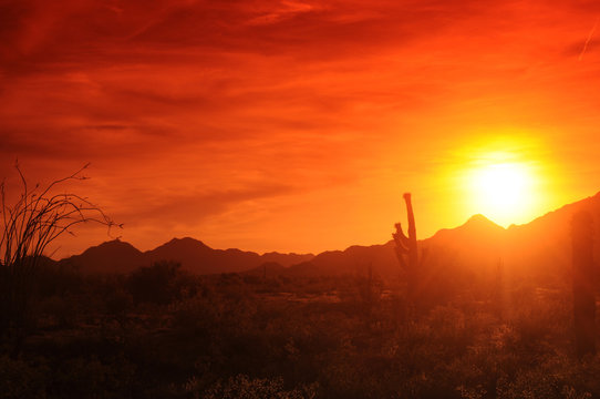 Fototapeta Desert Sunset