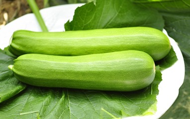 zucchini