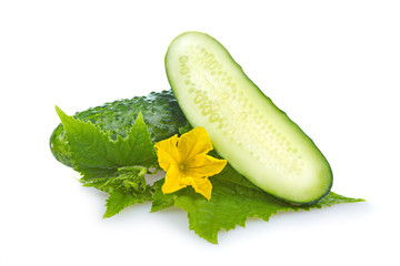Green cucumber vegetable isolated