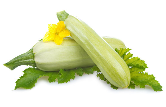 ripe marrow vegetable with leaf isolated