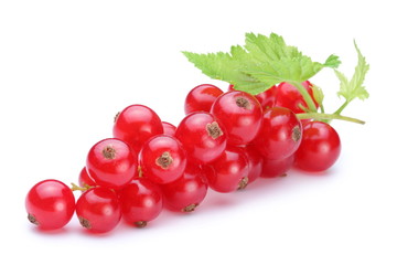 Bunch of red currants on a white background