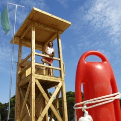 Lifeguard