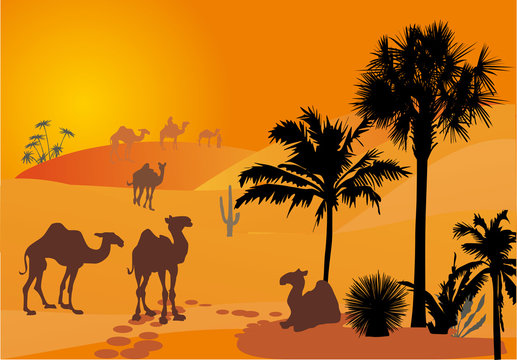 orange illustration with camels