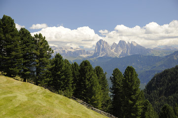 Blick von der Villanderer Alm zu den Dolomiten