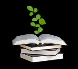 Plant growing from open book