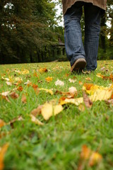 Herbst Sparziergang Mann Jahreszeit