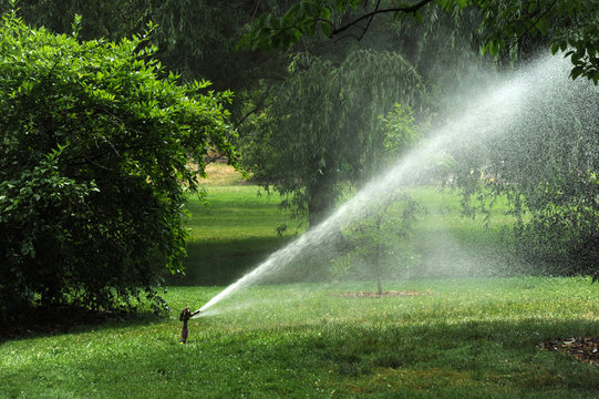 Irrigation sprinkler in the garden