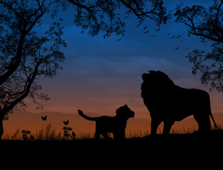 Fototapeta na wymiar Lions on beautiful sunset