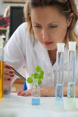 Scientist researching a green plant