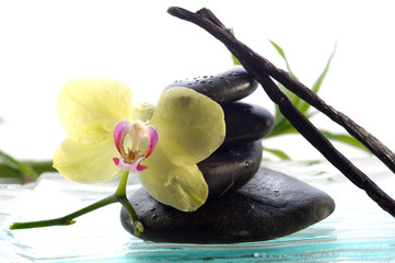 spa concept