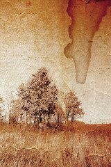 grunge background