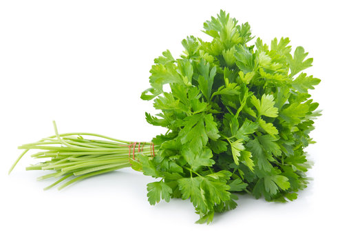 Bunch of ripe parsley isolated