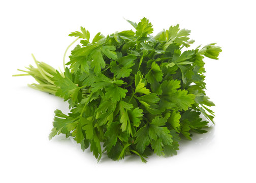 Bunch of ripe parsley isolated