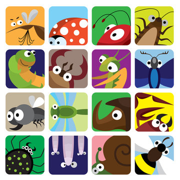 Insect icons set
