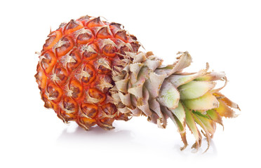 Ripe pineapple fruit with green leaves isolated