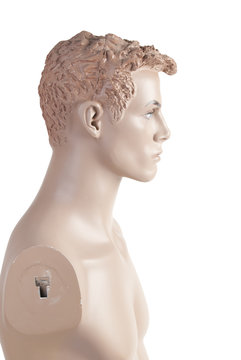 Head Of The Male Mannequin | Studio Isolated