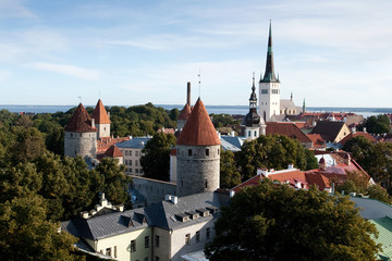 Tallin