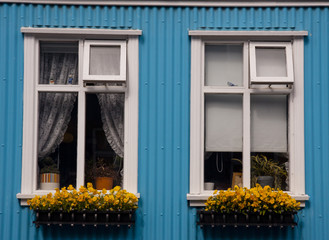 Two windows in Reykjavik - Iceland