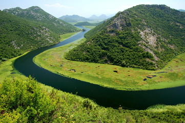 Crnojevica river, Montenegro - obrazy, fototapety, plakaty