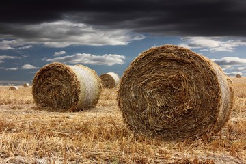 Strohballen nach der Ernte - Feld