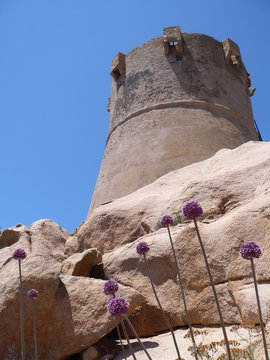 tour de senetosa