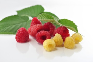 red and yellow raspberries