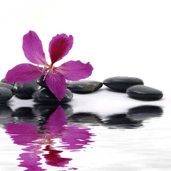 : Reflectie voor zwarte kiezels met schoonheidsrode bloem © Mee Ting