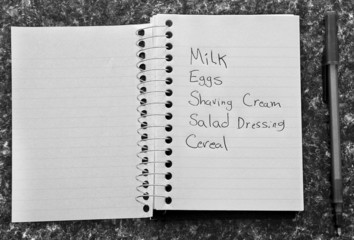 Shopping list on counter top