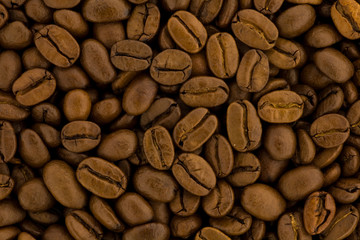coffee beans