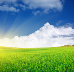 Plain and deep blue sky