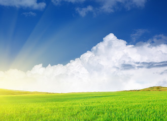 Fototapeta premium Plain and deep blue sky