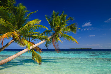 Naklejka na ściany i meble Tropical Paradise at Maldives