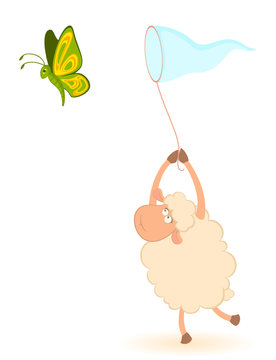 Vector cartoon funny sheep catches beautiful butterfly