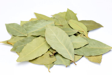 Fototapeta premium bay leaf