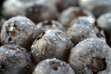 Blackcurrant