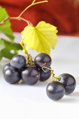 grape on white.