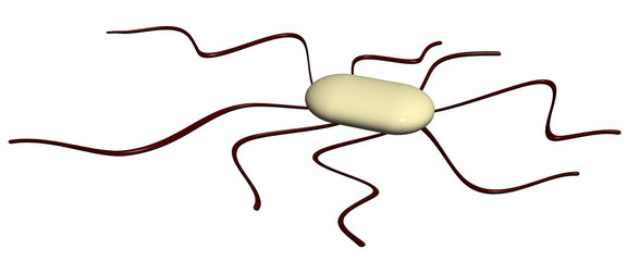 Obraz premium Dirty bacteria