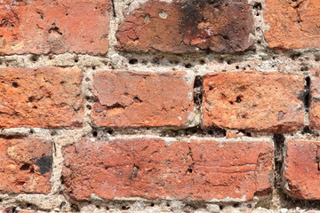 Brick Wall close-up