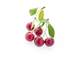 cherry