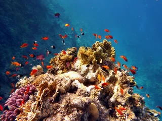 Afwasbaar fotobehang Rotes Meer © Hennie Kissling